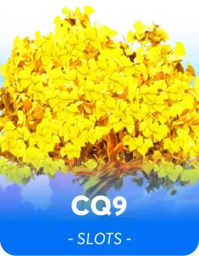 CQ9 — স্লট প্রোভাইডার